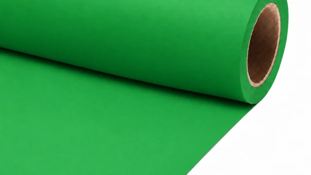 fond vert-studio